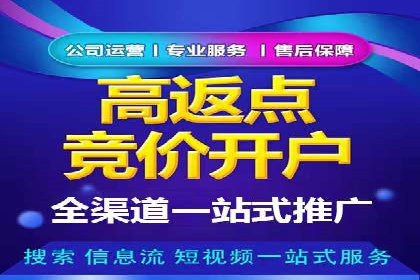 探索SEM推广代运营的奥秘：成功背后的故事
