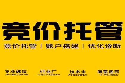 探索sem代运营公司成功案例的共同点